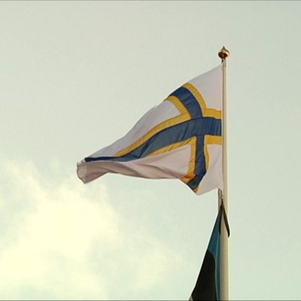 Den sverigefinska flaggan