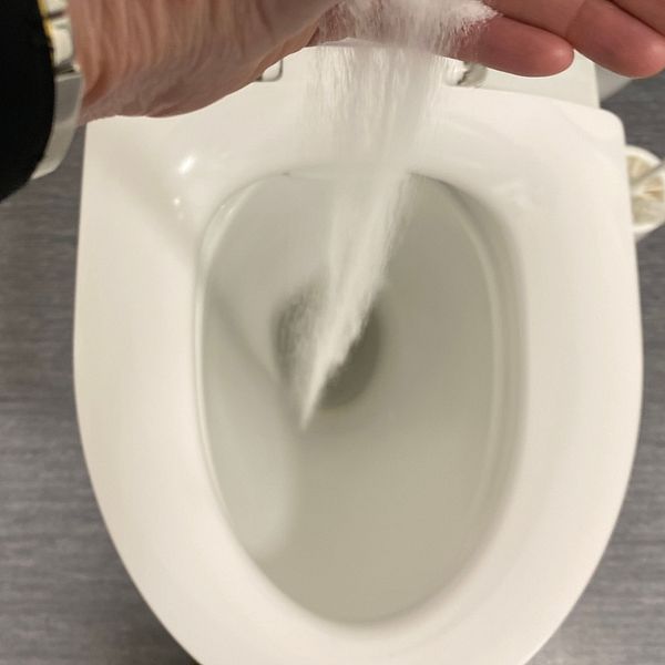 Hand som häller pulveraktigt ämne i en toalett.