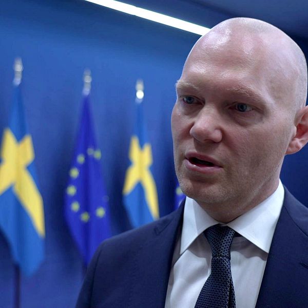 Finansmarknadsminister Niklas Wykman.