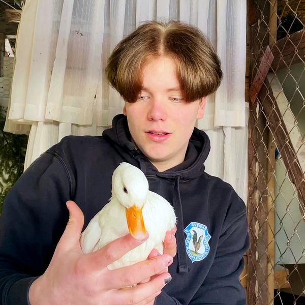 En ung kille som håller i en anka.