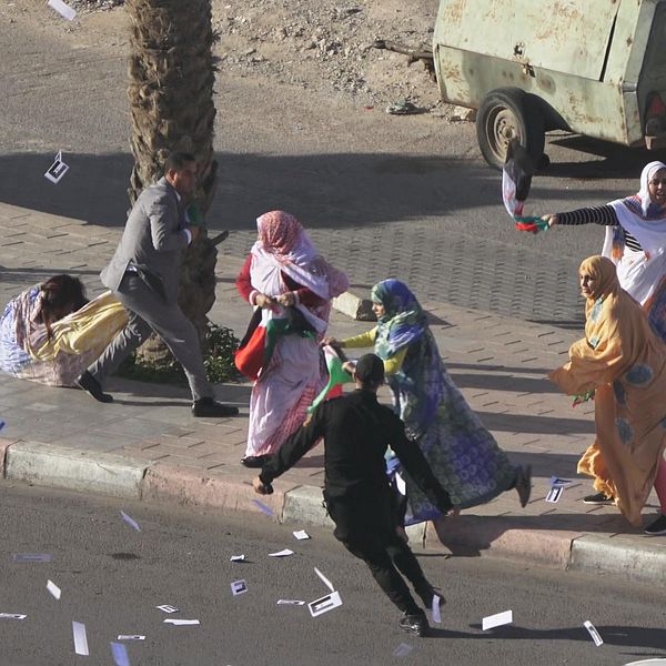 Västsahariska kvinnor avbryts i sitt demonstrerande.