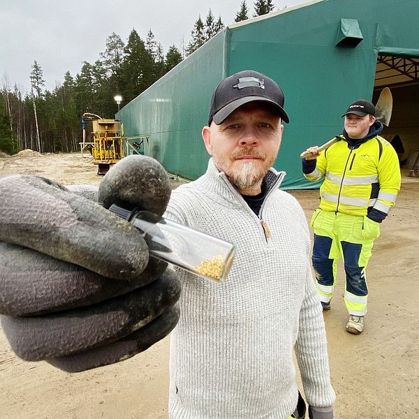 Daniel Reinsjö håller upp lite av det guld som hans team lyckats hitta. På det gamla gruvområdet har han låtit bygga en stor, grön tälthall.