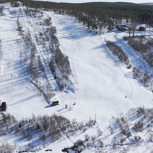 Snötäckt skidbacke omgiven av skog, med flera preparerade nedfarter.