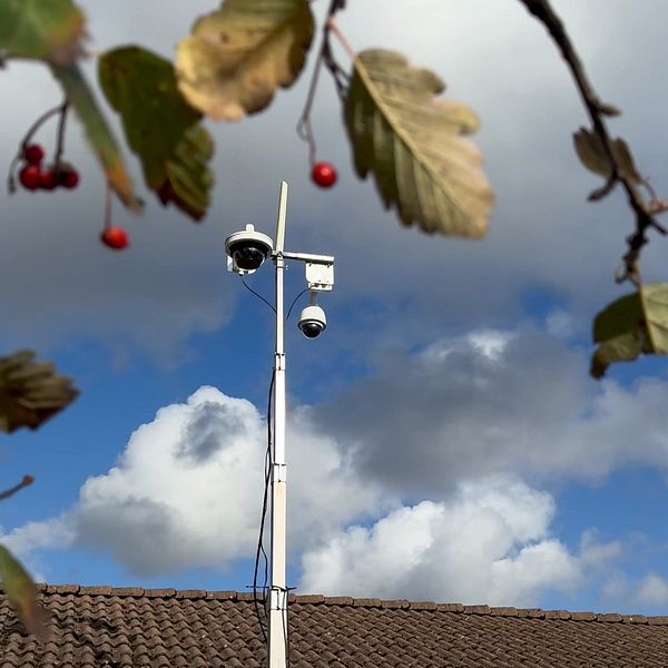 En närbild av en växt med röda bär i förgrunden, medan en övervakningskamera är synlig på en stolpe i bakgrunden. Himlen är blå med vita moln och taket på en byggnad syns i nederkant av bilden. Övervakningskameran sattes upp i Kollaområdet i Kungsbacka efter att polisen hittat explosivt föremål vid en fastighet.