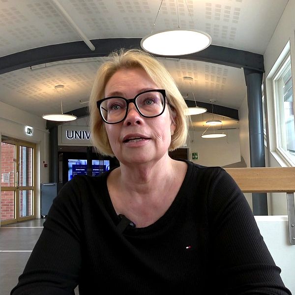 Cyberattacker | SVT Nyheter