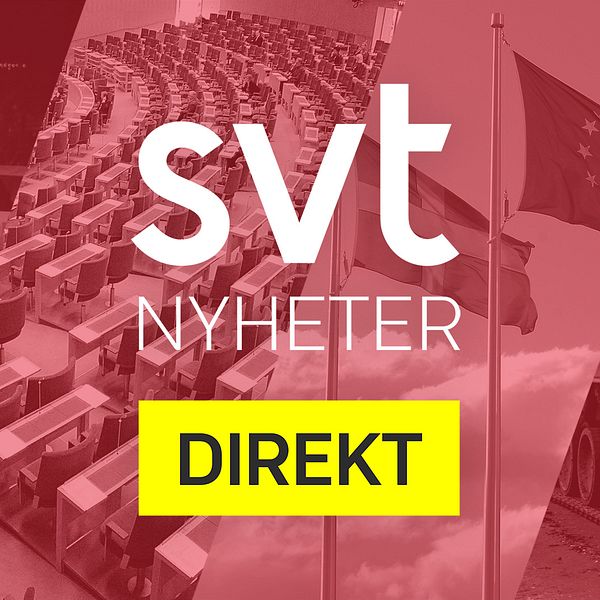 SVT Nyheter Direkt