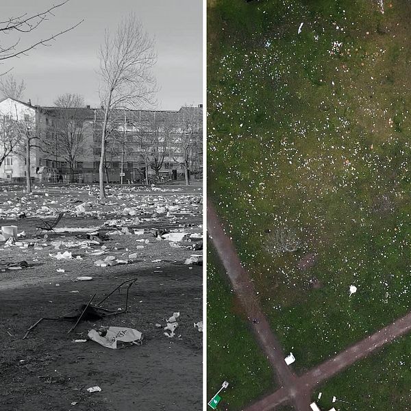 ekoparken förra året och nu bredvid varandra