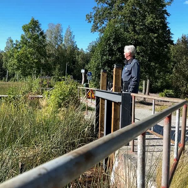 Michael Nilsson står vid Långforsens damm omgiven av grönska och vattendrag.