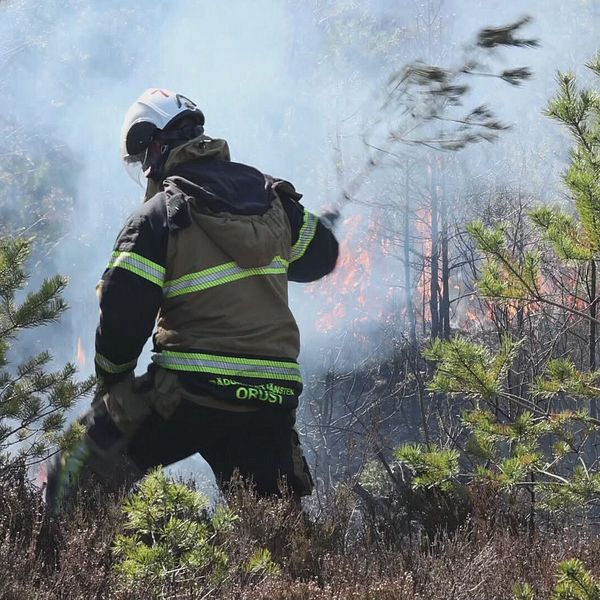 Terrängbrand, brand, uddevalla