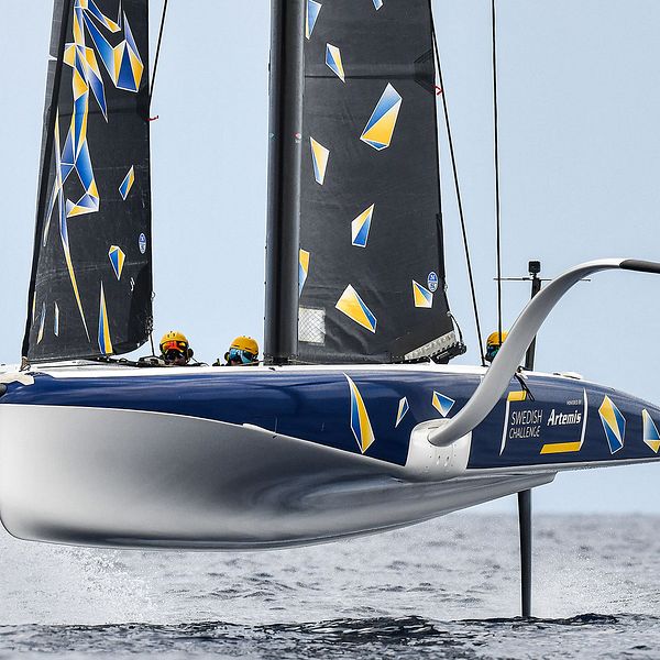 Americas cup