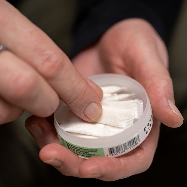 Vitt snus | SVT Nyheter
