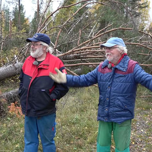 många skogsägare som väntar på att få hjälp med sin stormfällda skog., bland annat Jerry Lundgren och Stefan Stenberg.