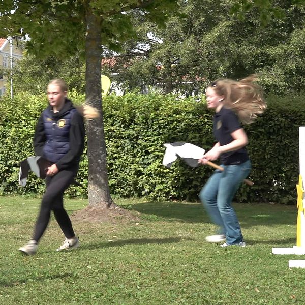 KLara och hennes kompis hoppar käpphäst på en hinderbana.
