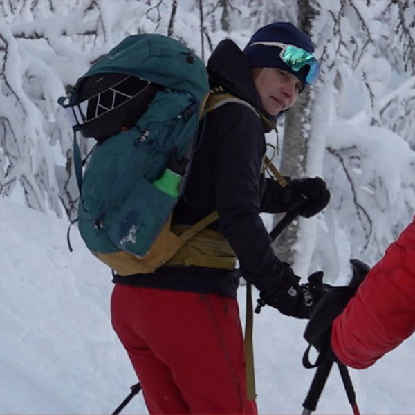 Två personer i vinterkläder och med ryggsäckar på ryggen åker skidor i ett snötäckt skogslandskap.