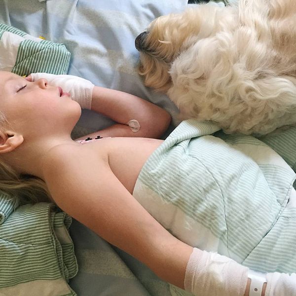 Vårdhunden Livia besöker patienten Astrid Remb på Akademiska sjukhuset vårdhund