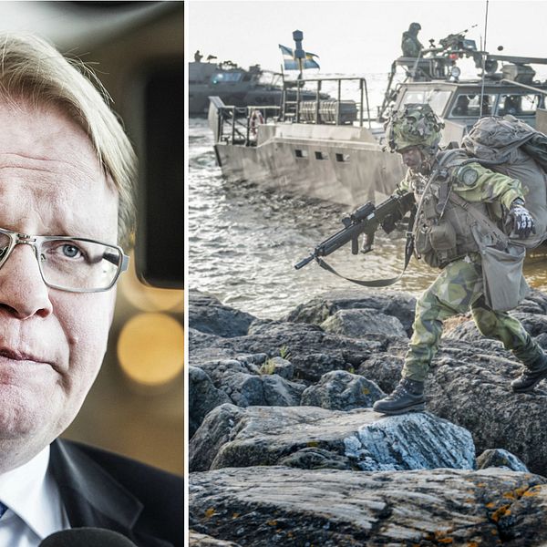 Försvarsminister Peter Hultqvist (S).