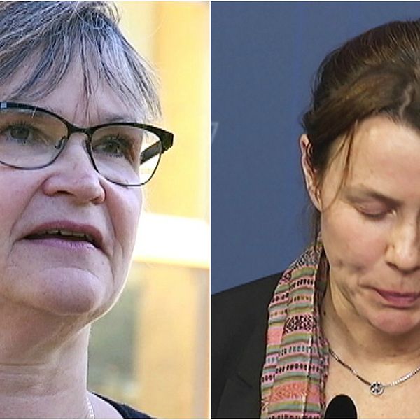Annika Lillemets (MP) och Åsa Romsson (MP)