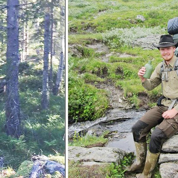 Andreas Sånglöf fick närkontakt med en björn under älgjakten i Västernorrland