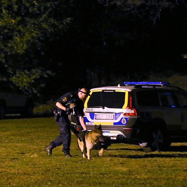 Polis jagar rånare