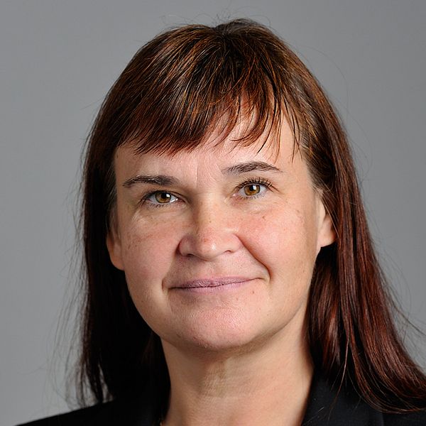 En av kritikerna är Miljöpartiets riksdagsledamot Annika Lillemets.