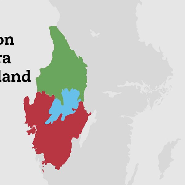 Organisationen Företagarna, med ett tusental medlemsföretag i länet, tycker att processen med att Värmland ska bilda en ny storregion med Västra Götaland går för fort.