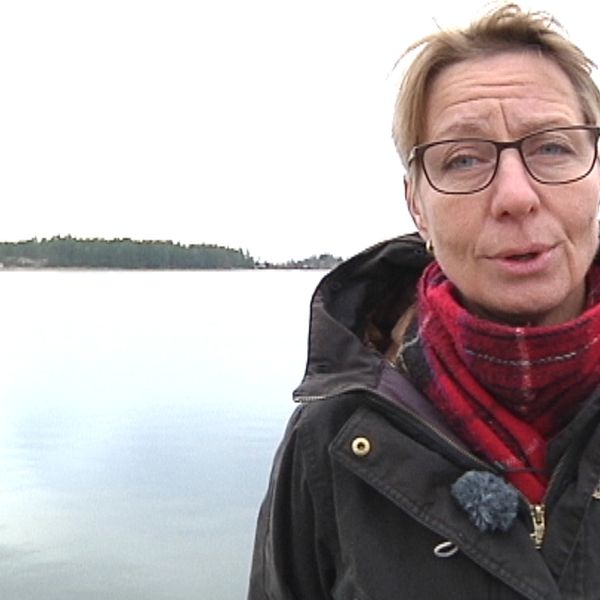 kärnkraft