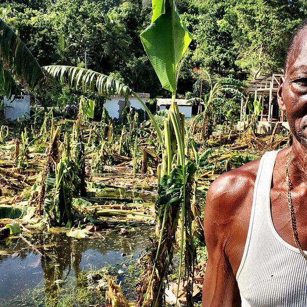 Bananodlaren Pierre Claude på Haiti förlorade allt.
