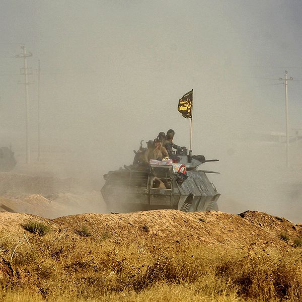 Irakiska styrkor är på väg mot Mosul.