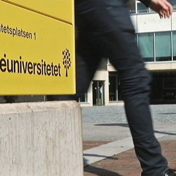 linnéuniversitetet