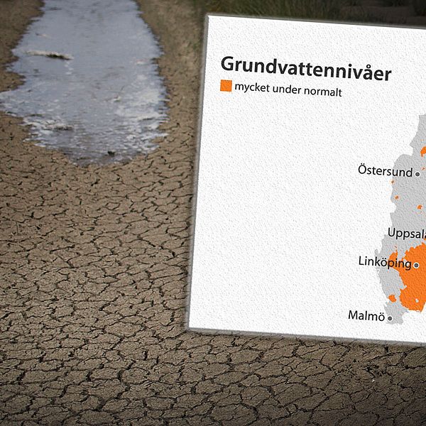 Mycket låga vattennivåer i Uppland efter uteblivet regn i september och oktober.