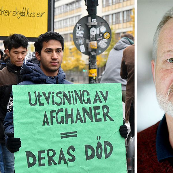 Vänster: Afghanska asylsökande demonstrerar mot Migrationsverkets skärpta praxis i Stockholm. Höger: Afghanistanexperten Anders Fänge