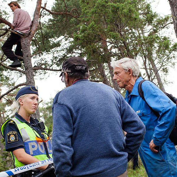 Två män pratar med en kvinnlig polis, samtidigt som en man sitter uppe i ett träd för att förhindra skogsavverkningen.