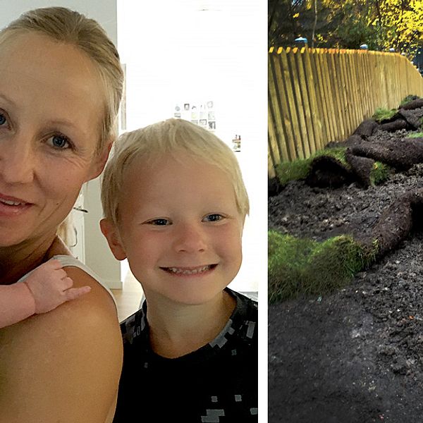 Tina Söderström, Bålsta, och hennes familj har drabbats av vildsvinens framfart.