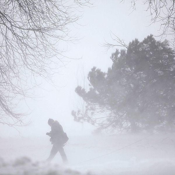 En man går i snöstorm och snörök omgiven av träd.