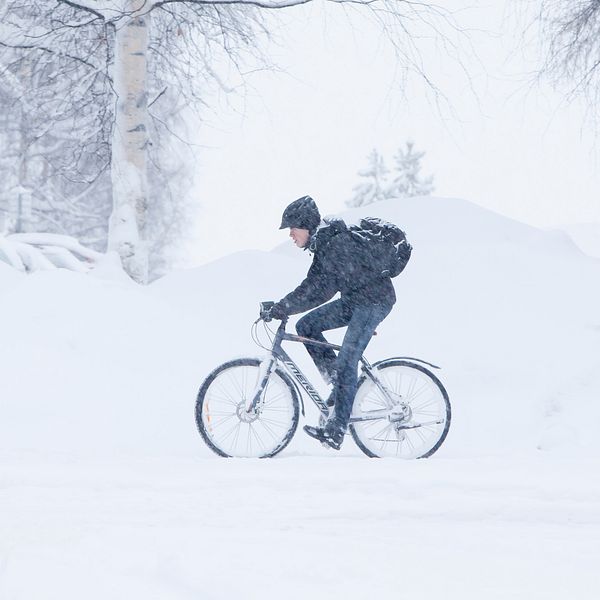 En bild på en cyklist som kämpar i snöstorm.