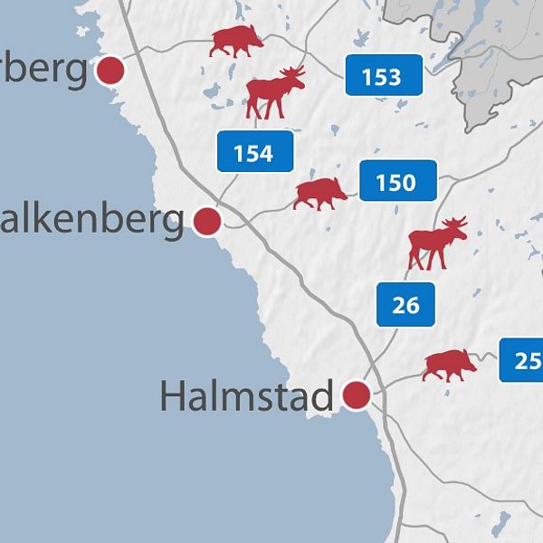 Hallands fem mest olycksdrabbade vägsträckorna för viltolyckor.