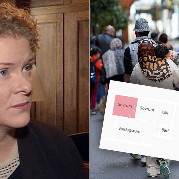 Karin Wanngård (S), nyanlända, Öppna ditt hem-kampanj