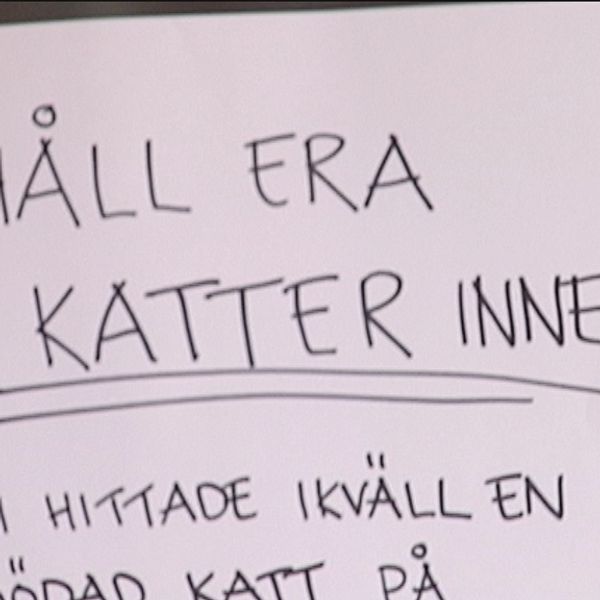 Skylt: Håll era katter inne