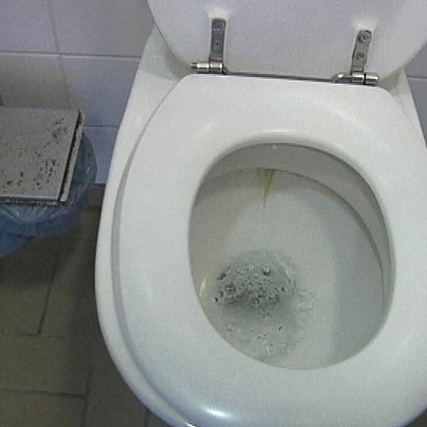 Idag är det internationella Världstoalettdagen. Var tredje människa på jorden saknar tillgång till toalett.