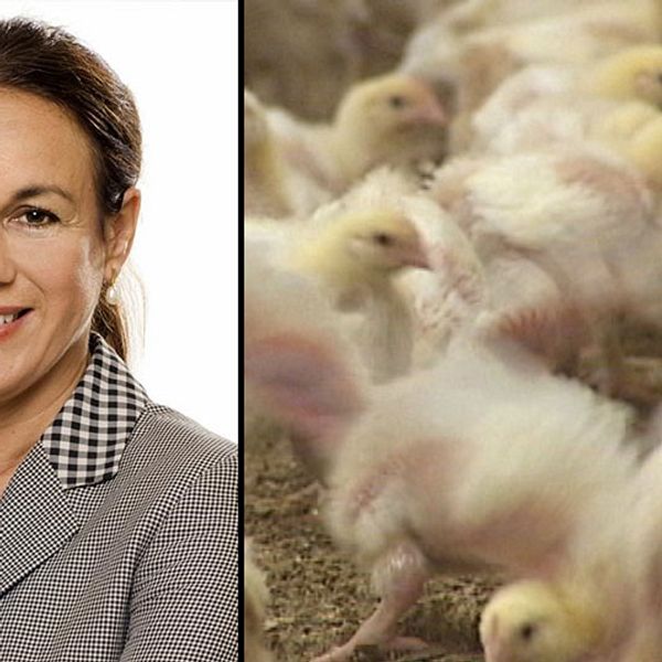 Maria Donis, vd för branschorganisation Svensk fågel, säger att producenterna är förbereda på konsekvenserna av fågelinfluensafallet i Skåne.