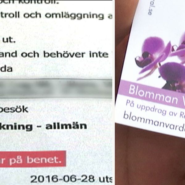 I journalen kallades ingreppet ”sår på benet”