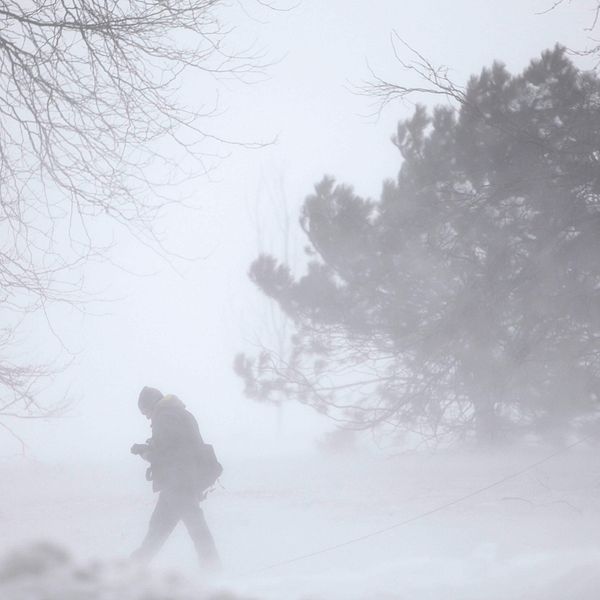 En bild på en person som går i snöstorm.