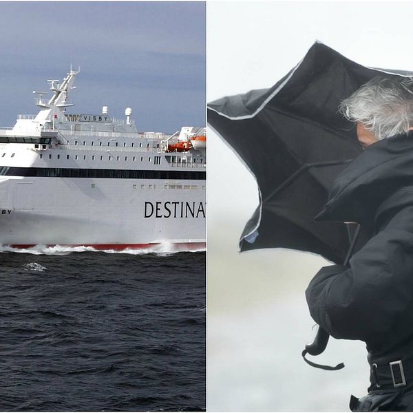 Destination Gotland M/S Visby samt en person under ett paraply i blåsten.