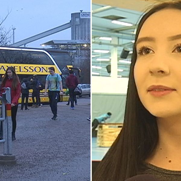 Buss, Meja Frösslund Jernberg