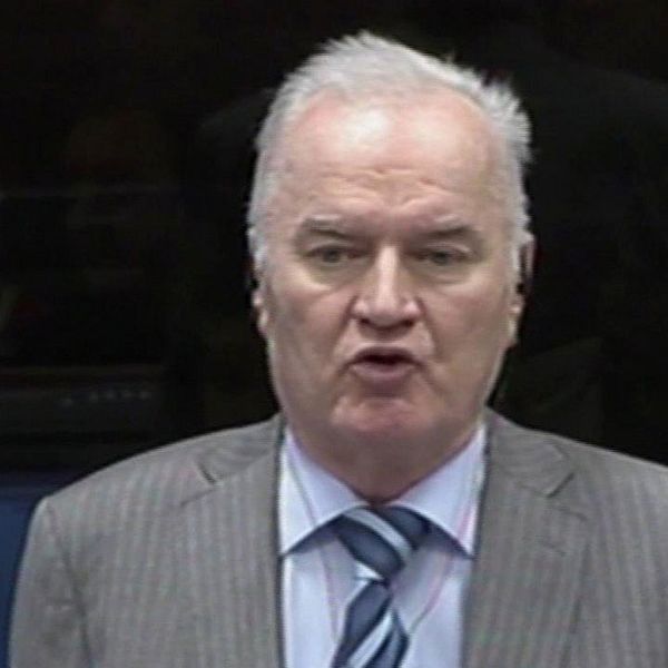 Ratko Mladic i FN-domstolen 2014.