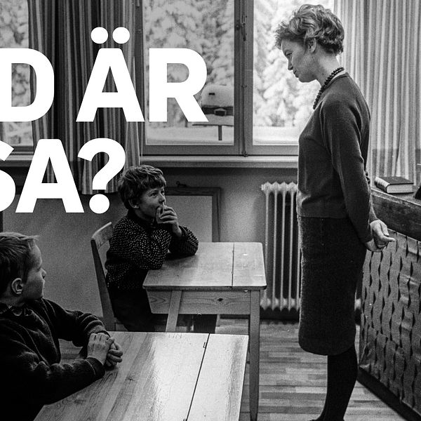 Skolmiljö med texten ”vad är Pisa?”