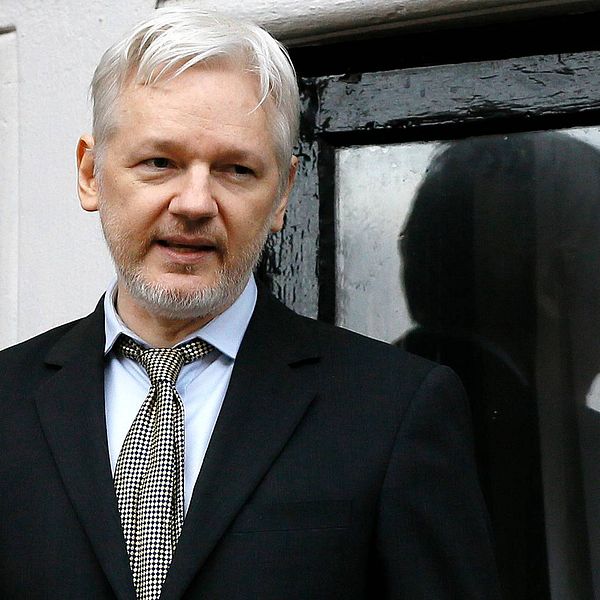 Assange