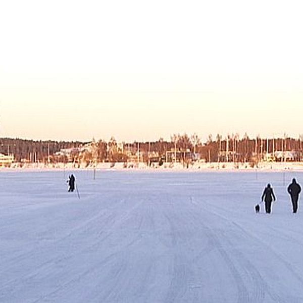 Isbanan i Luleå