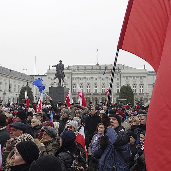 Demonstranter som demonstrerar utanför parlamentet.