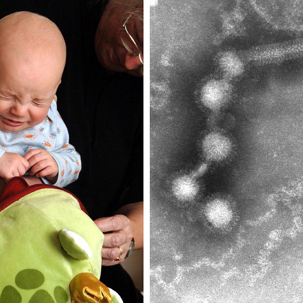 Spädbarn som nyser. Till höger en bild på rs-virus.
